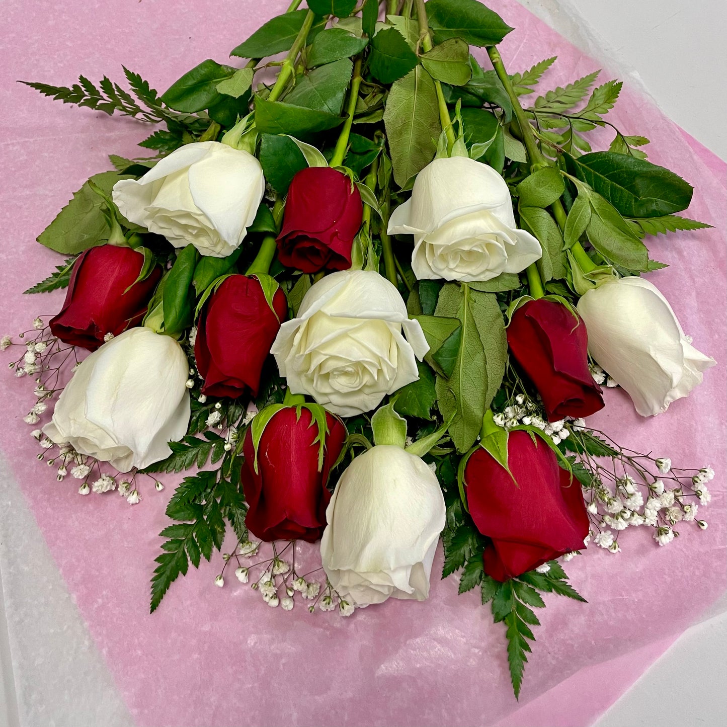 1 Dozen Red & White Roses Freshcut