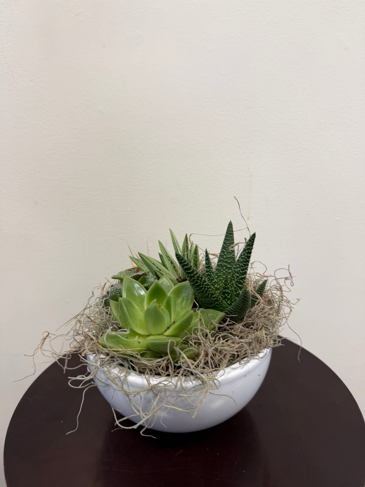 6” Succulent White Planter