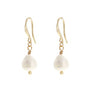 The Zoey 68 Gold earrings by Elise Accessories feature single white, round freshwater pearls delicately dangling from gold hooks against a plain white background.