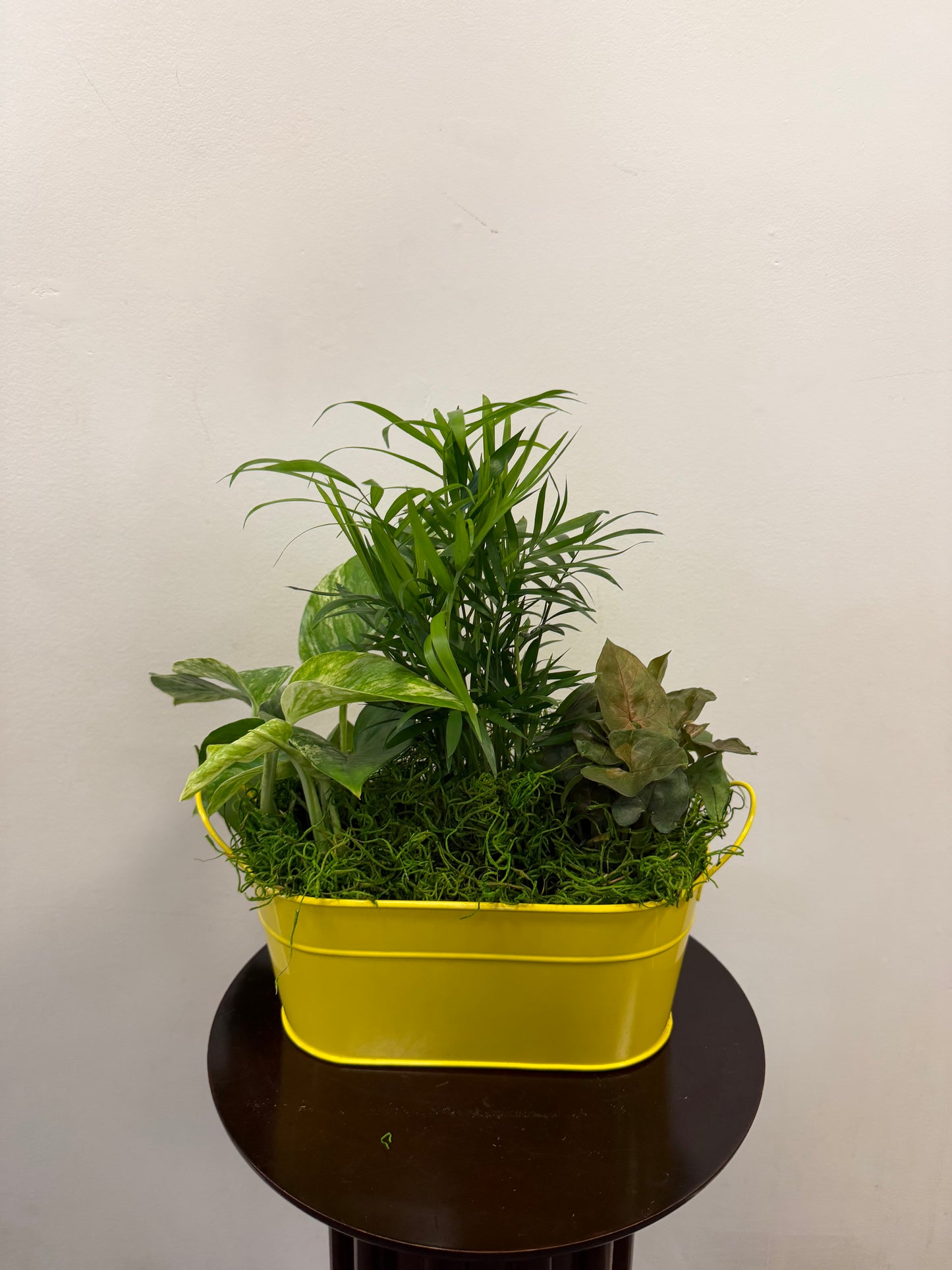 Planter Tin