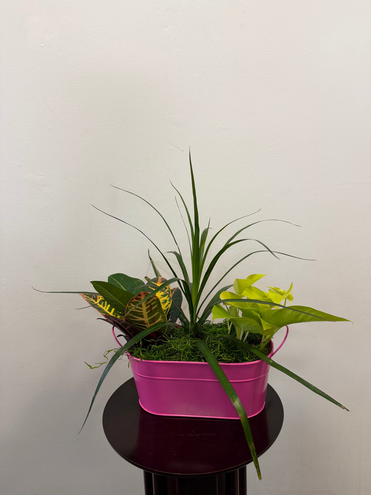 Planter Tin
