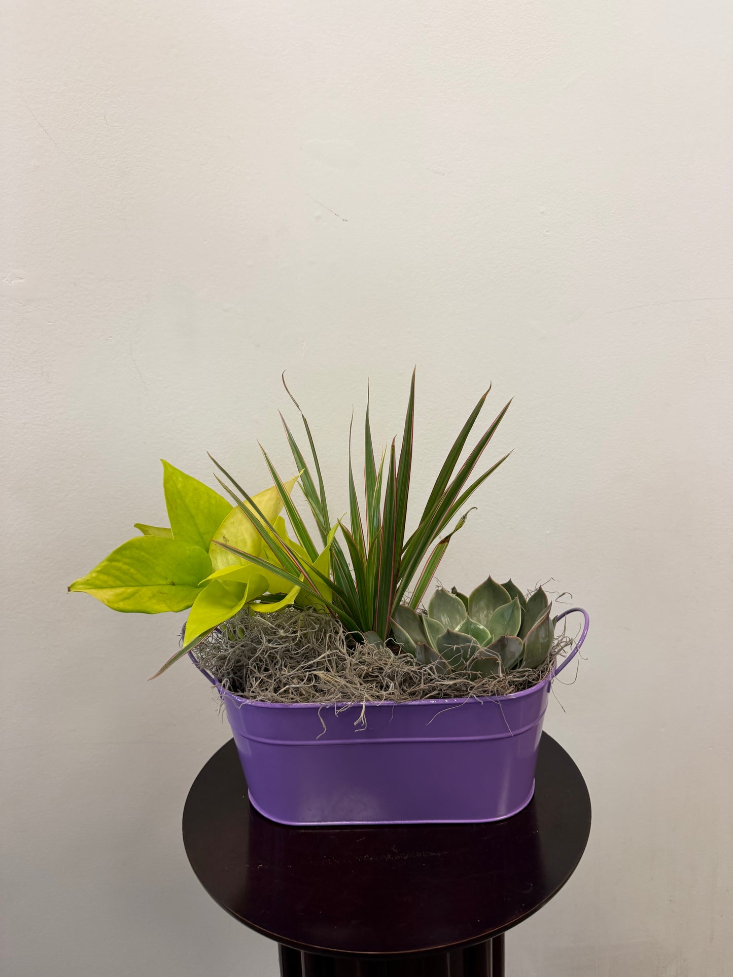 The Posies Flowers & Fashion Planter Tin, filled with assorted green succulents and dried moss, sits on a round dark wood table against an off-white wall—ideal for both indoor and outdoor decor.