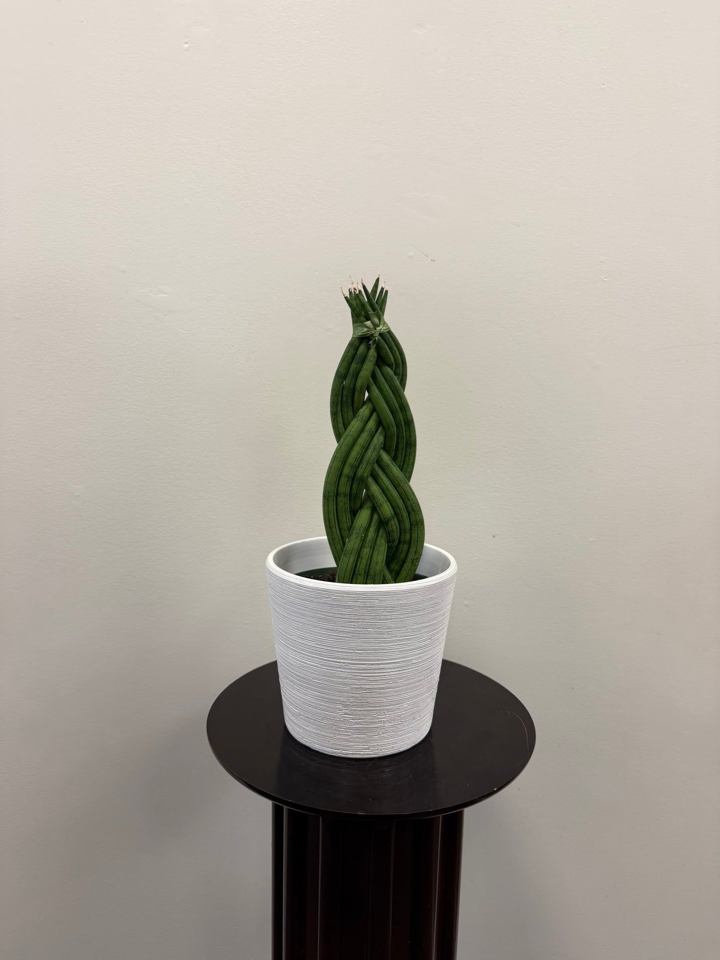 The Braided Cylindrical Snake Plant 6” with Ceramic Pot by Posies Flowers & Fashion sits on a small round black table against a plain light-colored wall.