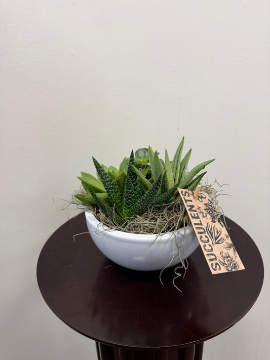 The Posies Flowers & Fashion 6” Succulent White Planter, filled with lush green succulents and decorative moss, features a brown "Succulents" tag and sits on a dark round table against a plain light wall.