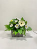 The "Healing Thoughts" arrangement by Posies Flowers & Fashion features a rectangular gray vase filled with white daisies having yellow centers, complemented by lush green foliage. The flowers are displayed against a plain white background. Please note that availability may affect specific floral elements, allowing for tasteful substitutions as needed.